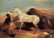 Sir Edwin Landseer, Arab stable ion